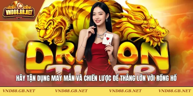 Hãy tận dụng may mắn và chiến lược để thắng lớn với Rồng Hổ
