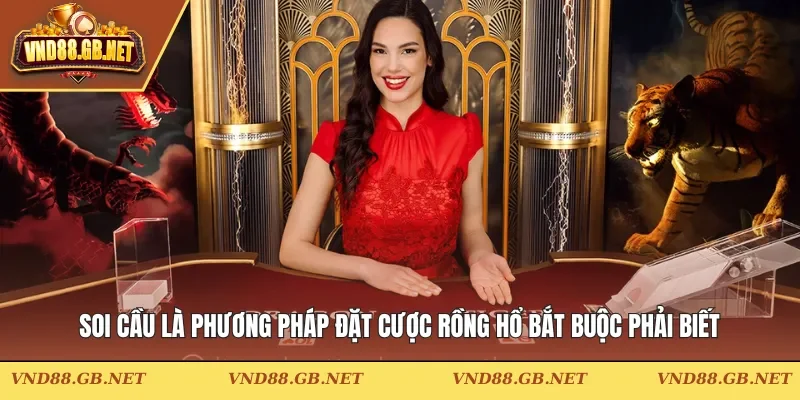 Soi cầu là phương pháp đặt cược Rồng Hổ bắt buộc phải biết